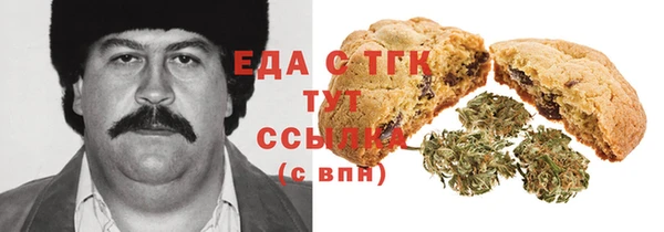 индика Арсеньев
