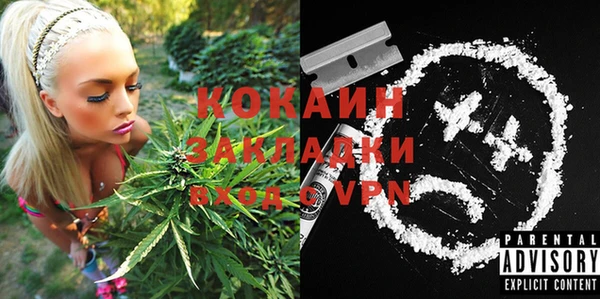 индика Арсеньев