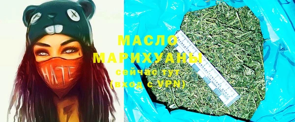 индика Арсеньев