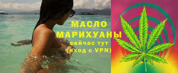 индика Арсеньев
